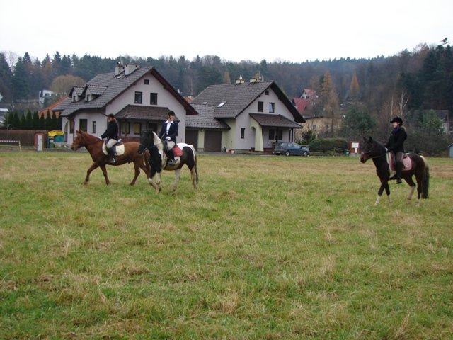 Hubertus 2010